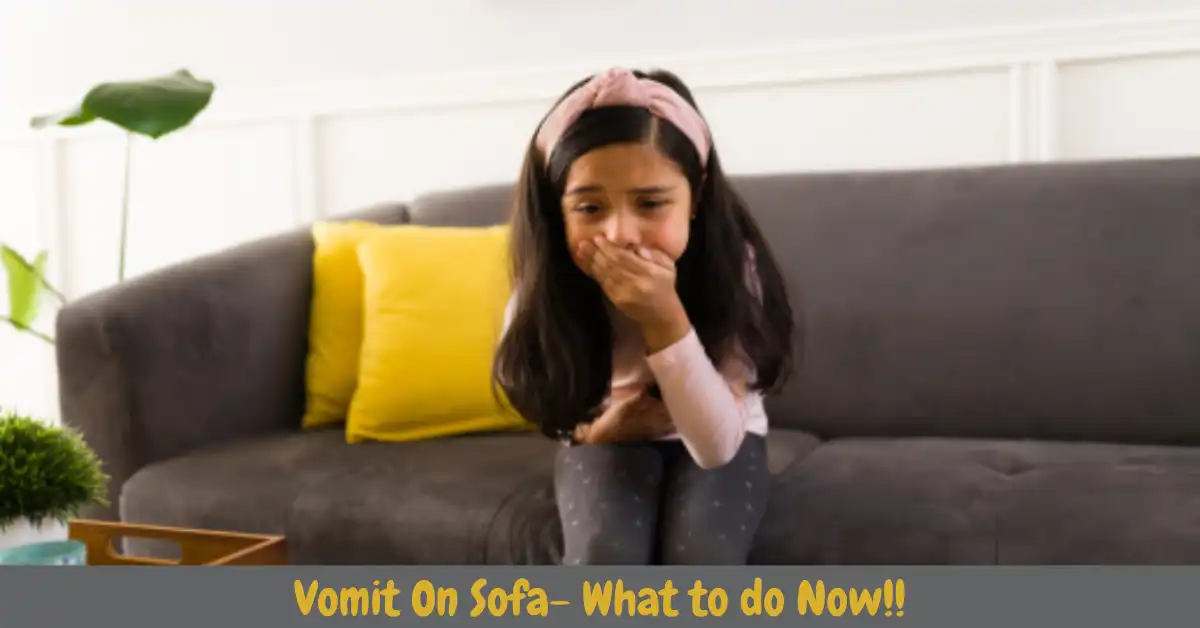 how to clean vomit from sofa