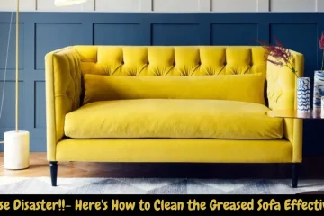 how to get grease out of a sofa