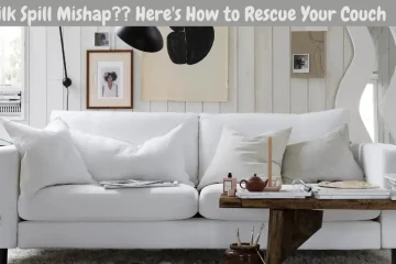 how to get milk out of a sofa