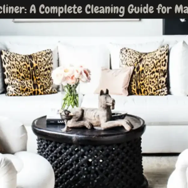How to Clean a Recliner: The 8 Steps Guide for a Dirt-free Seat