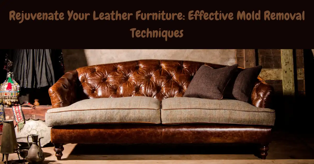 how to remove mold from leather furniture