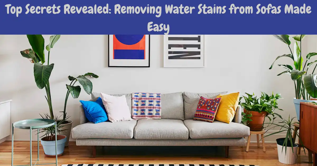 how to remove water stains from a sofa