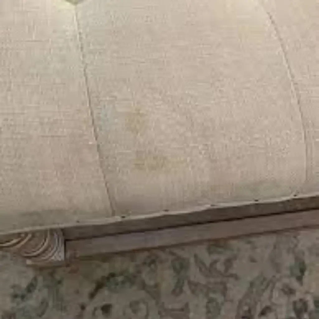 water stains on a sofa