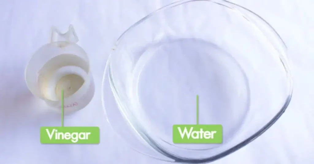 water and white vinegar mix
